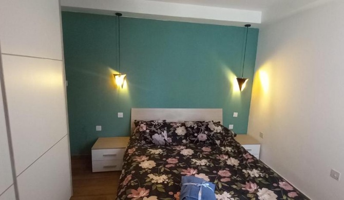 Deluxe Bedroom and Private Bathroom near Airport